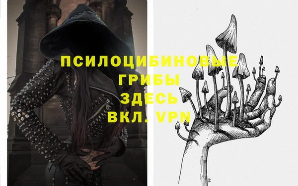 амф Алзамай