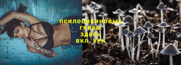 синтетический гашиш Алексин
