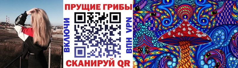 Псилоцибиновые грибы Psilocybe  Черногорск 